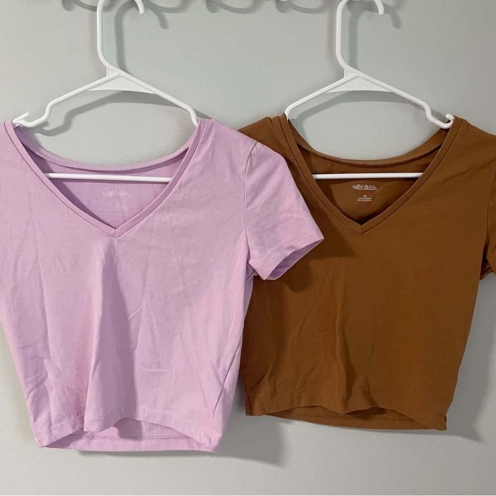 2 Wild Fable Cropped V-Neck T-Shirts